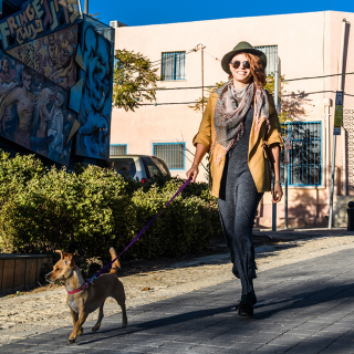 Woman walking dog